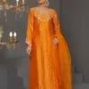 Ayesha code 1181 - Image 10