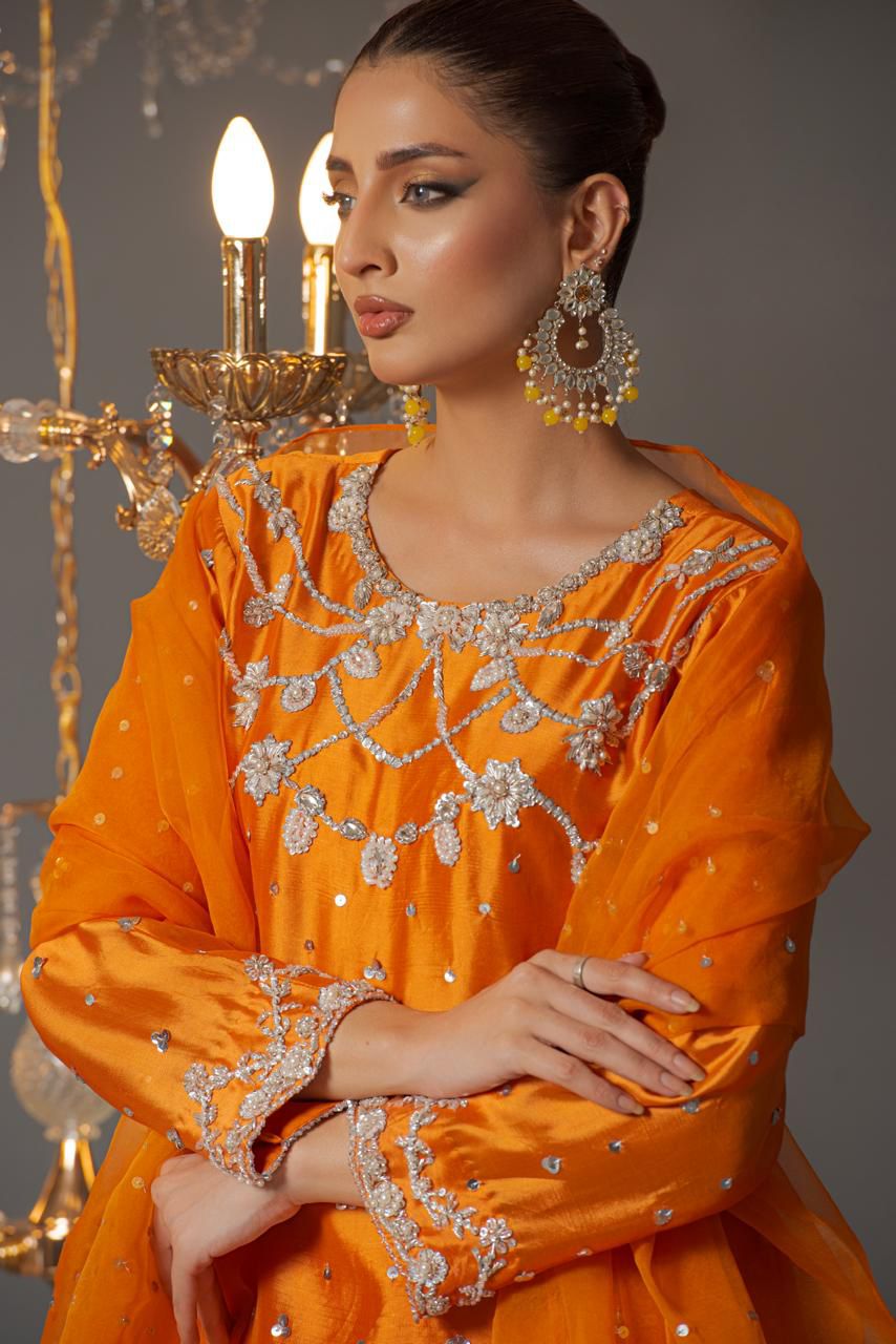 Ayesha code 1181 - Image 5