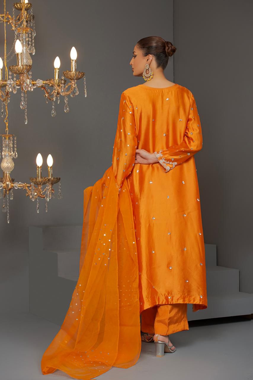 Ayesha code 1181 - Image 3